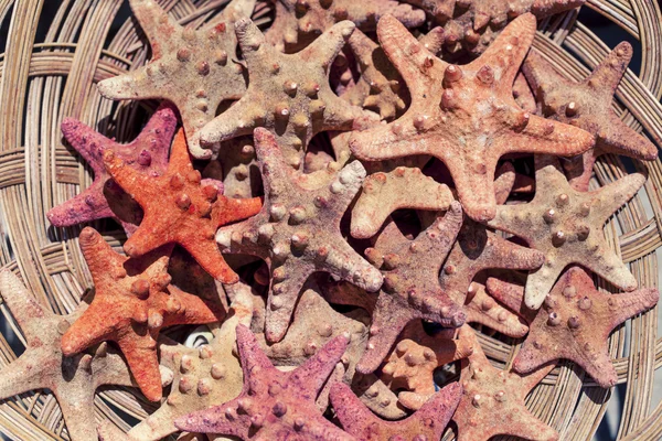 Recuerdos de estrellas de mar y conchas marinas en venta — Foto de Stock