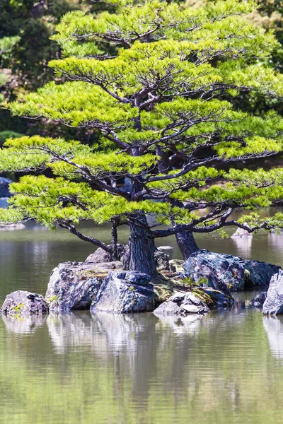 Jardim zen japonês no parque do templo de Kinkakuji, Kyoto — Fotografia de Stock