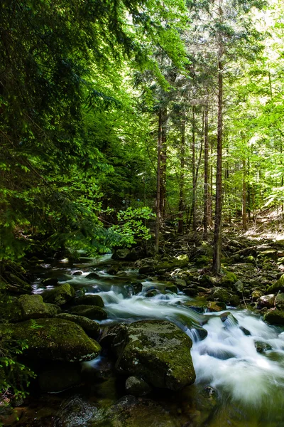 Polonia. El Parque Nacional de Karkonosze — Foto de Stock