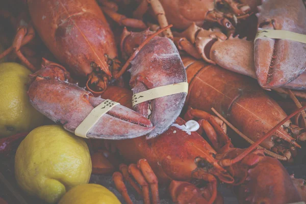 Fresh lobsters at American fish market — Stock Photo, Image