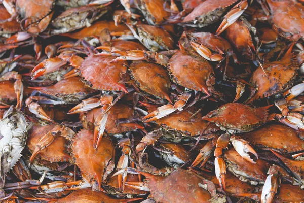 Fresh crab at American fish market — Stock Photo, Image