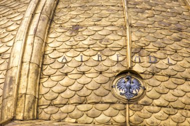 wawel Katedrali parçası. Krakow, Polonya wawel Tepesi üzerinde bulunan bir Roma Katolik Kilisesi Royal archcathedral Bazilikası, Azizler stanislaus wenceslaus wawel Hill (katedra wawelska) olduğunu. 