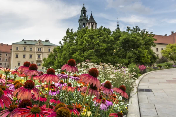 Jardín en el Castillo de Wawel, Cracovia, Polonia —  Fotos de Stock