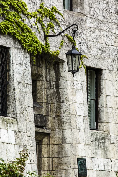 Fenster mit grünem Efeu bedeckt — Stockfoto