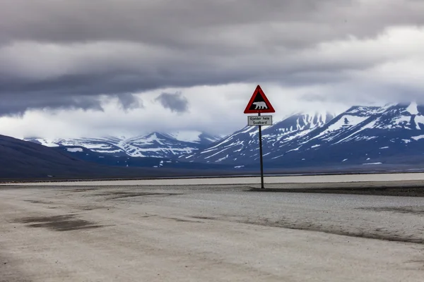 Figyelmeztető jel jegesmedvék, Spitzbergák, svalbard, Norvégia — стокове фото