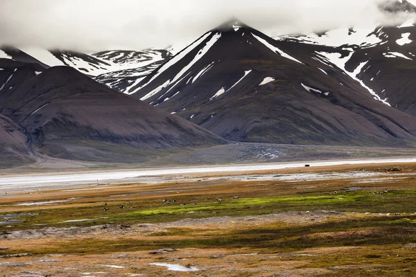 Beautiful scenic view of Spitsbergen (Svalbard island), Norway — Stock Photo, Image