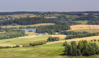 Suwalki Parkı, Polonya.