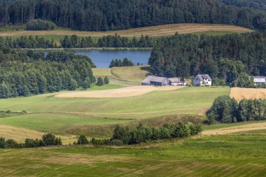 Suwalki Parkı, Polonya.