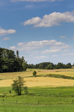 Suwalki Parkı, Polonya.