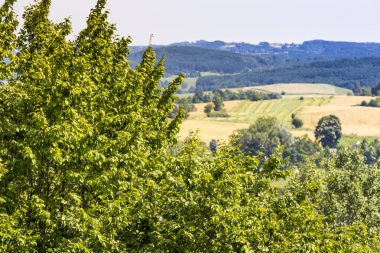 Suwalki Parkı, Polonya.