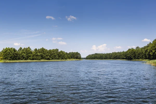 Sjön wigry nationalpark. Polen — Stockfoto