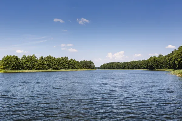 Lake wigry Milli Parkı. Polonya 
