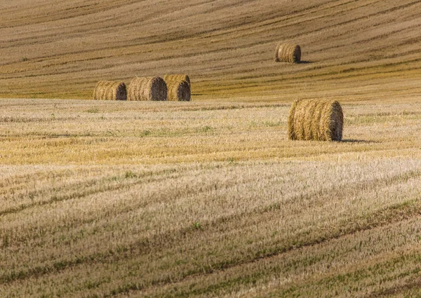 Fardos de heno en el campo después de la cosecha, Polonia — Foto de Stock