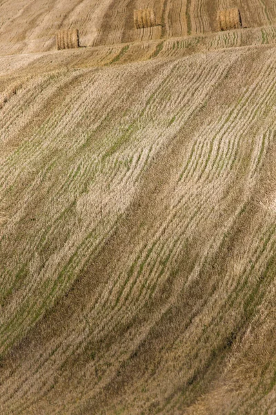 Fardos de heno en el campo después de la cosecha, Polonia — Foto de Stock