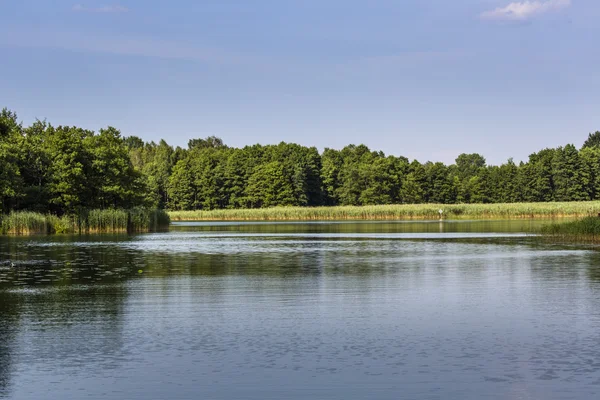 Parque Nacional do Lago Wigry. Polónia — Fotografia de Stock