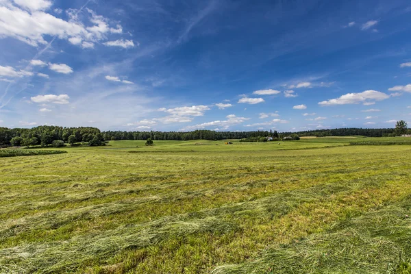 Suwalki Landscape Park, Poland. — Stock Photo, Image