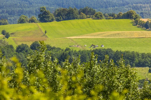 Suwalki Landscape Park, Polónia . — Fotografia de Stock