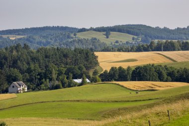 Suwalki Parkı, Polonya.