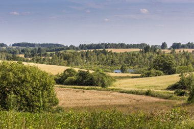Suwalki Parkı, Polonya.