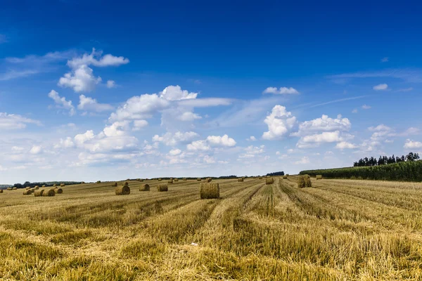 Hay bales on the field after harvest, Poland — Stock Photo, Image