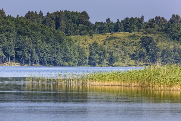 Lac Hancza. Le lac le plus profond d'Europe centrale et orientale. Pologne — Photo