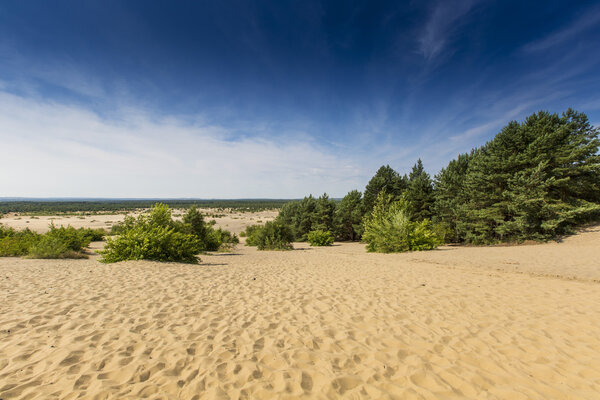 Bledow Desert, an area of sands between Bledow and the village of Chechlo and Klucze in Poland. 