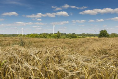 Rüzgar türbinleri suwalki Peyzaj Park, Polonya. 