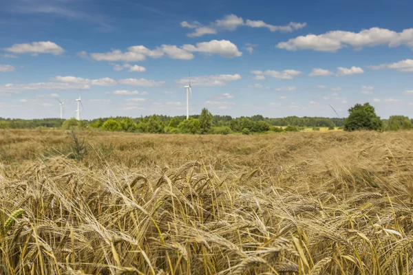 Wind turbines in Suwalki Landscape Park, Poland. — Stock Photo, Image