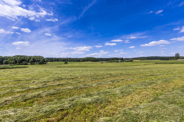 Parque del Paisaje Suwalki, Polonia . — Foto de Stock