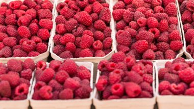 Yerel çiftlik Market Polonya kutularındaki Kırmızı Ahududu.