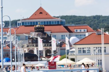 Martılar flyingon iskele Sopot, Polonya.