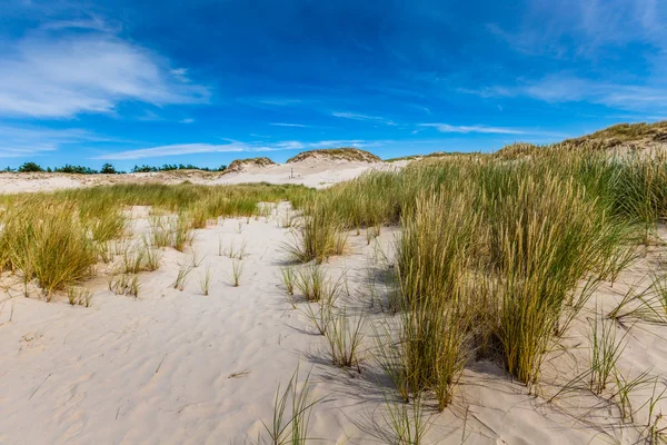 Рухомих дюни парк біля Балтійського моря у Леба, Польща — стокове фото