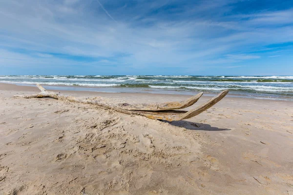 Parque de dunas en movimiento cerca del Mar Báltico en Leba, Polonia — Foto de Stock