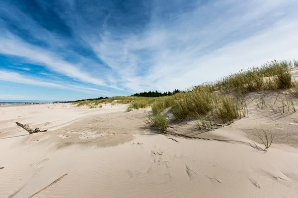 Moving dunes park near Baltic Sea in Leba, Poland — Stock Photo, Image