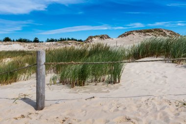 leba, Polonya Baltık Denizi yakınlarında hareketli kumulları Parkı
