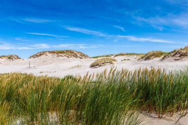 leba, Polonya Baltık Denizi yakınlarında hareketli kumulları Parkı