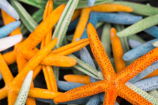 Starfish (Asteroidea) for sale at market. — Stock Photo, Image