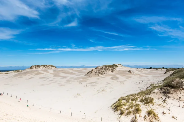 Moving dunes park near Baltic Sea in Leba, Poland — Stock Photo, Image