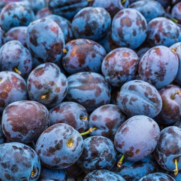 Plums on the market stand in Poland. — Stock Photo, Image