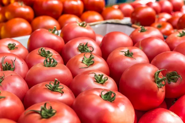 Polonya'da piyasa ahır taze domates. — Stok fotoğraf