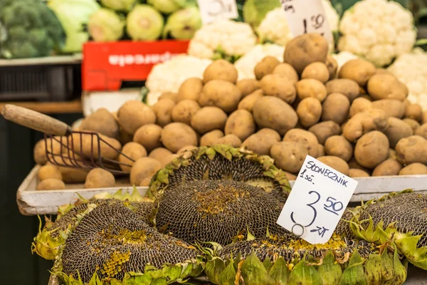 Girassol com sementes para venda no mercado de agricultores. Polónia . — Fotografia de Stock