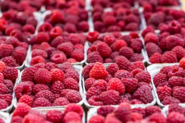 Yerel çiftlik Market kutularındaki Kırmızı Ahududu