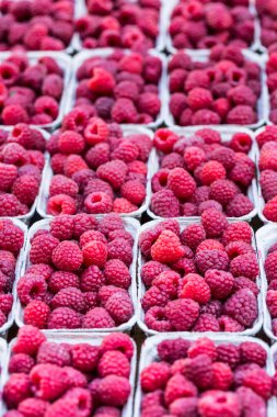 Yerel çiftlik Market kutularındaki Kırmızı Ahududu