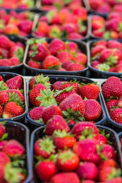 Baskets Of Fresh Strawberries In A Street Market — Stock Photo, Image