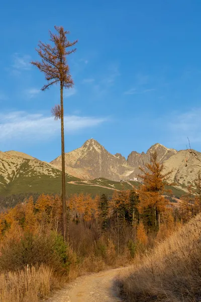 Σλοβακία Όμορφο Τοπίο Φθινόπωρο Των High Tatras Πεζοπορία Στο Lomnicky — Φωτογραφία Αρχείου