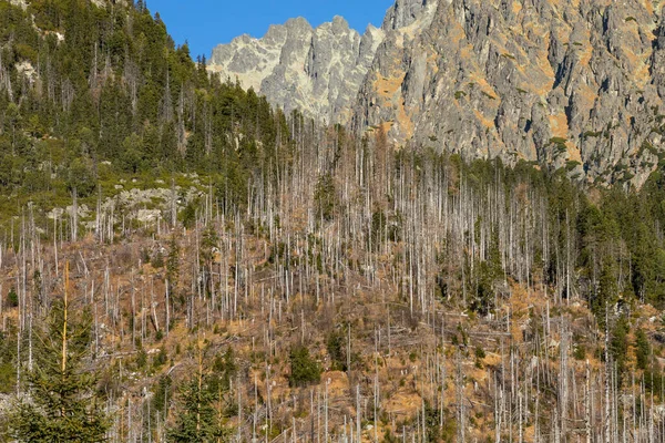 斯洛伐克 高塔特拉山长途跋涉至斯洛伐克隆尼基峰 隆尼基峰 和凯斯马斯基峰的美丽秋天风景 — 图库照片