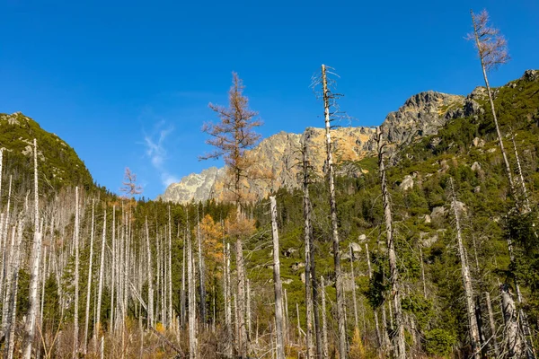 Eslovaquia Hermoso Paisaje Otoñal High Tatras Trekking Lomnicky Peak Lomnicky — Foto de Stock