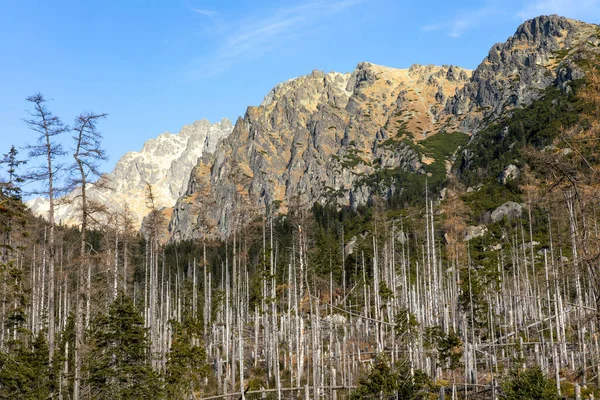 Slowakei Schöne Herbstlandschaft Der Hohen Tatra Trekking Zum Lomnitzer Gipfel — Stockfoto