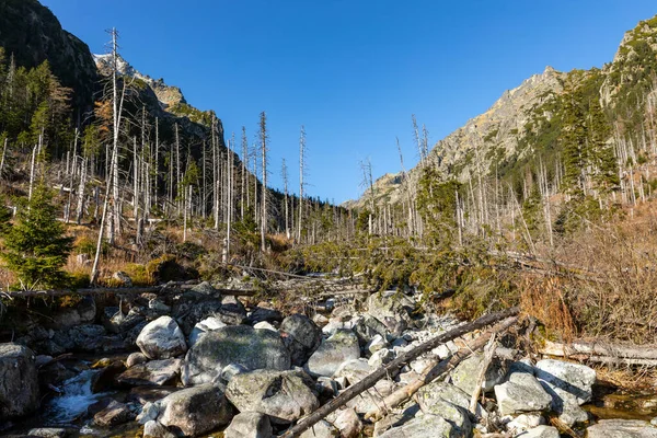 Slowakei Schöne Herbstlandschaft Der Hohen Tatra Trekking Zum Lomnitzer Gipfel — Stockfoto