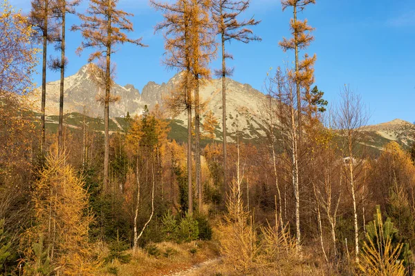 Slovacchia Bellissimo Paesaggio Autunnale Trekking Alti Tatra Lomnicky Peak Lomnicky — Foto Stock